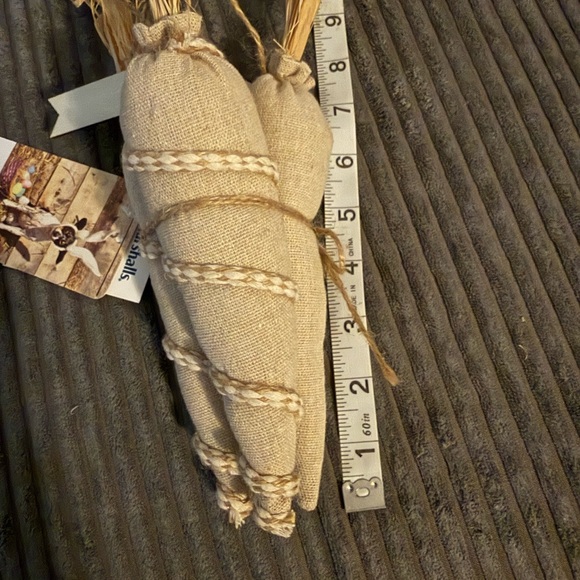 Rae Dunn Beige Fabric 🥕 Carrots- set of 3- NWT - Picture 7 of 7